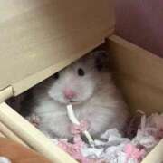 ヒメ日記 2025/12/31 00:43 投稿 りり 美女のカタチ