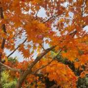 くろえ ☁️(_ _) 熟女家 京橋店