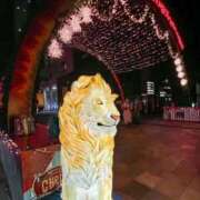 くろえ お知らせ⋆͛📢⋆ 熟女家 京橋店