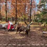 くろえ m(_ _)m💦 熟女家 京橋店