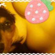 ヒメ日記 2025/11/23 16:00 投稿 あんな 進撃の妻