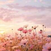 ヒメ日記 2025/12/15 10:22 投稿 なおこ 梅田アバンチュール