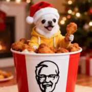 ヒメ日記 2025/12/25 20:52 投稿 なおこ 梅田アバンチュール