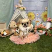 ヒメ日記 2026/01/12 18:33 投稿 なおこ 梅田アバンチュール