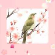 ヒメ日記 2026/02/04 21:52 投稿 なおこ 梅田アバンチュール