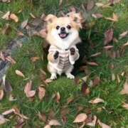 ヒメ日記 2026/02/06 09:41 投稿 なおこ 梅田アバンチュール