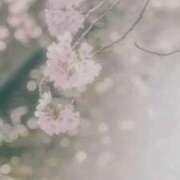 ヒメ日記 2026/03/28 23:54 投稿 なおこ 梅田アバンチュール