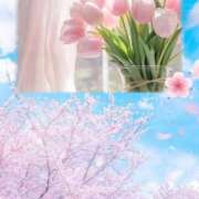 ヒメ日記 2026/04/03 10:39 投稿 なおこ 梅田アバンチュール