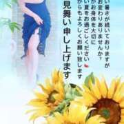 ヒメ日記 2026/07/13 12:52 投稿 なおこ 梅田アバンチュール