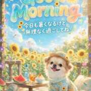 ヒメ日記 2026/07/18 10:52 投稿 なおこ 梅田アバンチュール