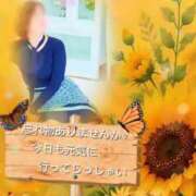 ヒメ日記 2026/08/04 07:52 投稿 なおこ 梅田アバンチュール