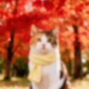 ヒメ日記 2026/10/07 09:22 投稿 なおこ 梅田アバンチュール
