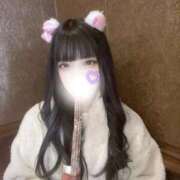 いと ねこちゃん🐱 E+アイドルスクール新宿・歌舞伎町店