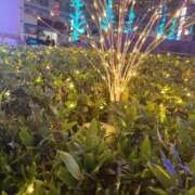 ヒメ日記 2025/11/23 07:04 投稿 水谷さん HYPER TOKYO