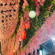 ヒメ日記 2025/12/20 19:11 投稿 ここの 恋色 (コイイロ)