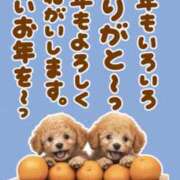 ヒメ日記 2025/12/30 20:28 投稿 ここの 恋色 (コイイロ)