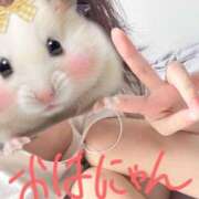 ヒメ日記 2025/12/02 08:30 投稿 ひかり 櫻女学院