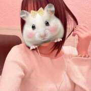 ヒメ日記 2026/01/06 18:06 投稿 ひかり 櫻女学院