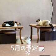 ヒメ日記 2026/05/13 16:15 投稿 ひかり 櫻女学院
