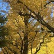 ヒメ日記 2025/11/25 16:01 投稿 千葉ゆう 五反田はじめてのエステ