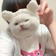 ヒメ日記 2026/01/30 03:28 投稿 ゆうり（極上SPコース対応） EIGHT（エイト）～8つのお約束と無限の可能性～