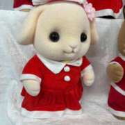 ヒメ日記 2025/12/20 03:24 投稿 天使きら ヌルテカ