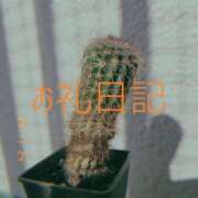 ヒメ日記 2025/11/24 12:37 投稿 ぼたん 宮崎ちゃんこ中央通店