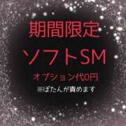 ヒメ日記 2025/11/24 19:37 投稿 ぼたん 宮崎ちゃんこ中央通店
