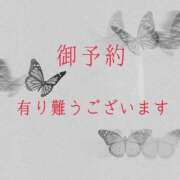 ヒメ日記 2025/12/26 21:17 投稿 ぼたん 宮崎ちゃんこ中央通店