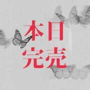 ヒメ日記 2025/12/27 14:37 投稿 ぼたん 宮崎ちゃんこ中央通店