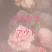 ヒメ日記 2025/12/28 22:37 投稿 ぼたん 宮崎ちゃんこ中央通店