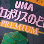 ヒメ日記 2026/01/04 12:47 投稿 ぼたん 宮崎ちゃんこ中央通店