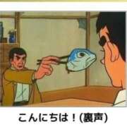 ヒメ日記 2026/01/15 18:07 投稿 ぼたん 宮崎ちゃんこ中央通店