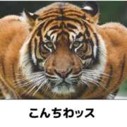 ヒメ日記 2026/01/16 12:37 投稿 ぼたん 宮崎ちゃんこ中央通店