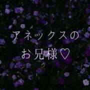 ヒメ日記 2026/01/17 22:37 投稿 ぼたん 宮崎ちゃんこ中央通店