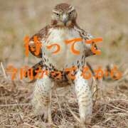 ヒメ日記 2026/01/23 21:27 投稿 ぼたん 宮崎ちゃんこ中央通店