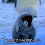 ヒメ日記 2026/01/24 05:27 投稿 ぼたん 宮崎ちゃんこ中央通店