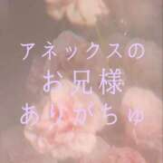 ヒメ日記 2026/01/25 13:17 投稿 ぼたん 宮崎ちゃんこ中央通店