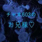 ヒメ日記 2026/01/27 22:37 投稿 ぼたん 宮崎ちゃんこ中央通店