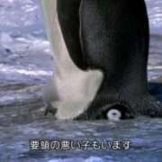 ヒメ日記 2026/02/04 20:47 投稿 ぼたん 宮崎ちゃんこ中央通店