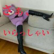 ヒメ日記 2026/02/07 18:17 投稿 ぼたん 宮崎ちゃんこ中央通店