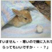 ヒメ日記 2026/02/13 20:57 投稿 ぼたん 宮崎ちゃんこ中央通店