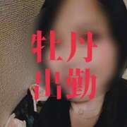 ヒメ日記 2026/02/18 18:47 投稿 ぼたん 宮崎ちゃんこ中央通店