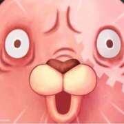 ヒメ日記 2026/02/20 19:07 投稿 ぼたん 宮崎ちゃんこ中央通店