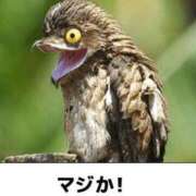 ヒメ日記 2026/02/27 19:37 投稿 ぼたん 宮崎ちゃんこ中央通店