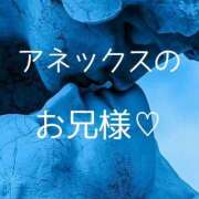 ヒメ日記 2026/03/14 00:27 投稿 ぼたん 宮崎ちゃんこ中央通店
