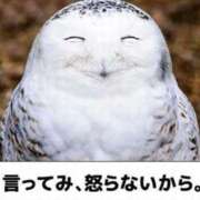 ヒメ日記 2026/03/17 12:27 投稿 ぼたん 宮崎ちゃんこ中央通店