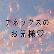 ヒメ日記 2026/03/24 00:57 投稿 ぼたん 宮崎ちゃんこ中央通店