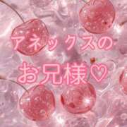 ヒメ日記 2026/04/07 23:17 投稿 ぼたん 宮崎ちゃんこ中央通店