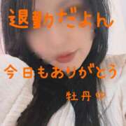 ぼたん たいきーん(？∀？) 宮崎ちゃんこ中央通店